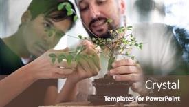  Presentation with bonsai - Audience pleasing theme consisting of father-and-son-cutting backdrop and a violet colored foreground