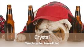  Presentation with dog park dogs plays - Slides enhanced with father and son with beer background and a coral colored foreground