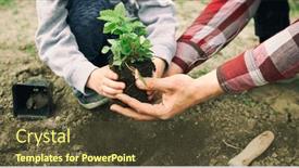  Presentation with transplant - PPT theme having father-helps-his-son background and a tawny brown colored foreground