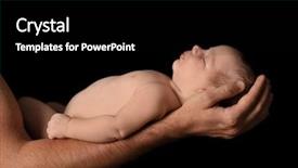  Presentation with baby chickens little cute chicks - Beautiful PPT layouts featuring father with cute little baby backdrop and a black colored foreground