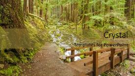  Presentation with tree river - Cool new slide deck with fault tree - beautiful mountain river backdrop and a gold colored foreground