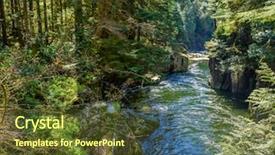  Presentation with safari park beautiful wildlife animal - Presentation having fault tree - beautiful mountain river background and a  colored foreground