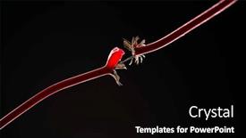  Presentation with electric - Slides consisting of faulty-defective-red-electric-wire background and a black colored foreground