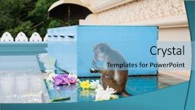  Presentation with golden pavilion kinkakuji temple - Colorful PPT layouts enhanced with fauna exotica - monkey eats flowers at golden backdrop and a light blue colored foreground