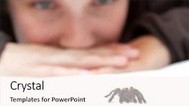  Presentation with phobias - Presentation theme having fears phobias - watching a spider crawling background and a sky blue colored foreground