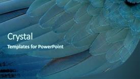  Presentation with blue yellow - PPT theme with yellow macaw's feather background and a ocean colored foreground