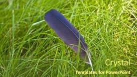  Presentation with feather - Audience pleasing PPT theme consisting of feather-caught-in-the-grass backdrop and a tawny brown colored foreground