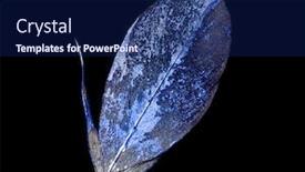  Presentation with feather pen - Presentation design featuring feather-is-covered-with-blue background and a navy blue colored foreground