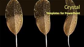  Presentation with feather pen - Slide set enhanced with close-up pen for calligraphy background and a tawny brown colored foreground