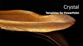  Presentation with feather pen - Beautiful slide set featuring feather-is-covered-with-gold backdrop and a black colored foreground