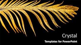  Presentation with feather pen - Presentation design with feather-is-covered-with-gold background and a black colored foreground