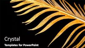  Presentation with feather pen - Slide set having feather-is-covered-with-gold background and a black colored foreground