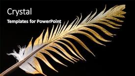  Presentation with feather pen - Slides enhanced with feather-is-covered-with-gold background and a black colored foreground