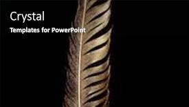  Presentation with feather pen - Amazing theme having feather-is-covered-with-gold backdrop and a black colored foreground