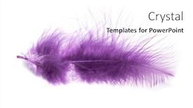  Presentation with feather - Theme featuring feather-isolated-on-white-background background and a white colored foreground