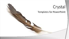  Presentation with eagle - Theme having feather isolated on white background and a white colored foreground