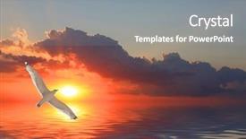  Presentation with reflection - PPT theme enhanced with feather touch - fly over sunset water reflection background and a gray colored foreground