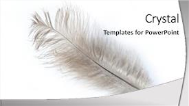  Presentation with feather - Beautiful presentation featuring feather backdrop and a white colored foreground
