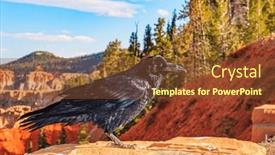  Presentation with feathered - Slides consisting of feathered-inhabitant-of-bryce-canyon background and a tawny brown colored foreground
