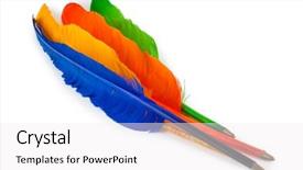  Presentation with feather - Audience pleasing presentation theme consisting of  backdrop and a  colored foreground.