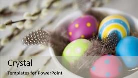  Presentation with colored - PPT layouts with feathers in bowl and pussy background and a light gray colored foreground