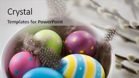  Presentation with holidays - PPT theme with feathers in bowl and pussy background and a light gray colored foreground