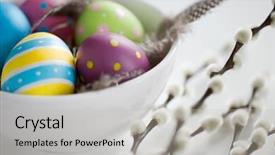  Presentation with colored - PPT theme consisting of feathers in bowl and pussy background and a light gray colored foreground