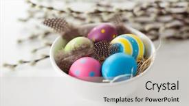  Presentation with holidays - Audience pleasing PPT theme consisting of feathers in bowl and pussy backdrop and a light gray colored foreground