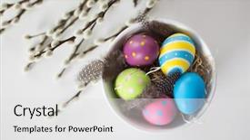  Presentation with holidays - PPT theme with feathers in bowl and pussy background and a light gray colored foreground