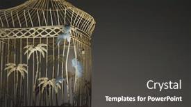 Presentation with birdcage - Cool new presentation with feathers stuck on empty birdcage backdrop and a dark gray colored foreground