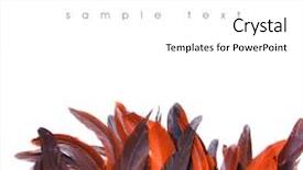  Presentation with feather - Beautiful presentation theme featuring feathers backdrop and a white colored foreground