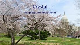  Presentation with capitol - PPT theme featuring federal - washington dc in spring background and a sky blue colored foreground