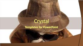  Presentation with gangster - Theme with fedora hat and sunglasses background and a  colored foreground