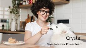  Presentation with cake dog - Slide deck featuring feed her cutie white dog background and a lemonade colored foreground
