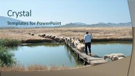  Presentation with shepherd sheep - Beautiful PPT layouts featuring feed sheep - shepherd is leading his flock backdrop and a sky blue colored foreground