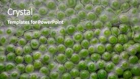  Presentation with bunch of green peas - Amazing theme having feed supplement - green peas being boiled backdrop and a violet colored foreground