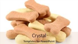  Presentation with dog bone chewing - Amazing theme having feed supplement - pile of dog biscuit bones backdrop and a coral colored foreground