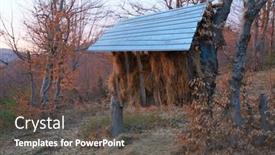  Presentation with animals winter - PPT layouts enhanced with feeder-for-sufficient-food background and a dark gray colored foreground