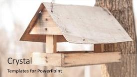  Presentation with birds - PPT theme featuring feeders for birds background and a lemonade colored foreground