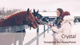  Presentation with teenage girl - PPT layouts consisting of feeding horses on the ranch background and a lemonade colored foreground