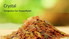  Presentation with fish aquarium - Audience pleasing presentation theme consisting of feeding of all ornamental fish backdrop and a yellow colored foreground