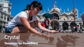  Presentation with square - Cool new PPT theme with feeding pigeons in the square backdrop and a violet colored foreground