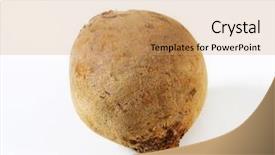  Presentation with beetroot - Beautiful PPT theme featuring feeding poor - whole beetroot in peel backdrop and a  colored foreground