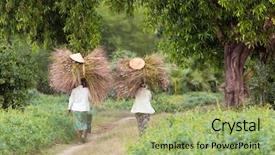  Presentation with farmers suicide - Audience pleasing presentation theme consisting of feeding poor - women farmers carrying hay bunches backdrop and a mint green colored foreground