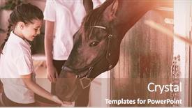  Presentation with horse - Presentation theme having feeding the horse in stable background and a tawny brown colored foreground