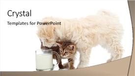  Presentation with cat dog - Slide deck featuring feeding together - stalking the milk background and a white colored foreground