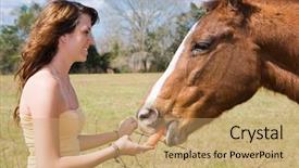  Presentation with horse teen - Audience pleasing presentation theme consisting of feeding tube - beautiful teen girl giving backdrop and a coral colored foreground