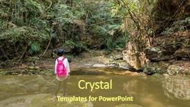  Presentation with fern - Audience pleasing PPT theme consisting of river and feel free backdrop and a tawny brown colored foreground