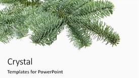  Presentation with five sided blue to white - PPT layouts featuring feer - blue fer tree isolated background and a  colored foreground