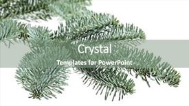  Presentation with white blue vapor trail - Slide deck consisting of feer - blue fer tree isolated background and a  colored foreground